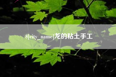 荣成龙的粘土手工