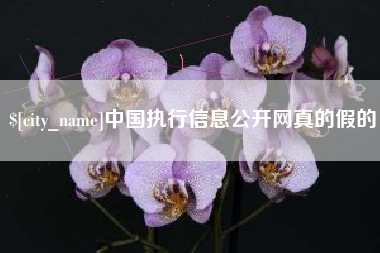 荣成中国执行信息公开网真的假的