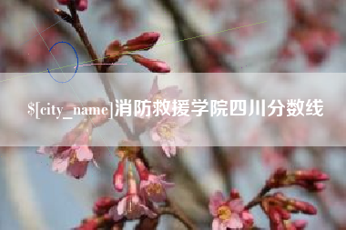 荣成消防救援学院四川分数线