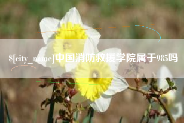 荣成中国消防救援学院属于985吗
