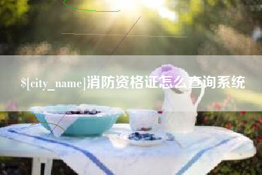 荣成消防资格证怎么查询系统