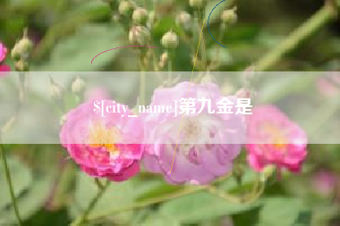 荣成第九金是