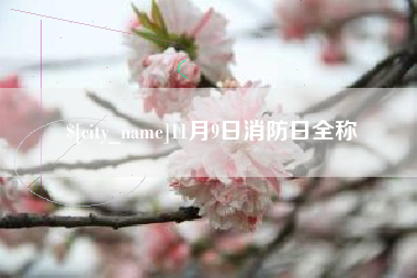 荣成11月9日消防日全称