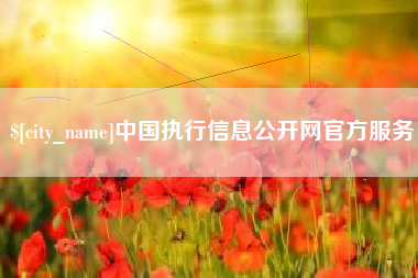荣成中国执行信息公开网官方服务