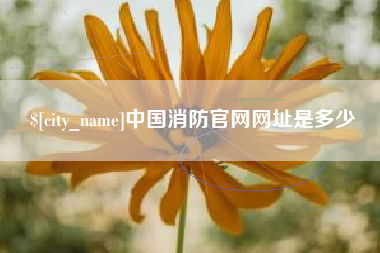 荣成中国消防官网网址是多少