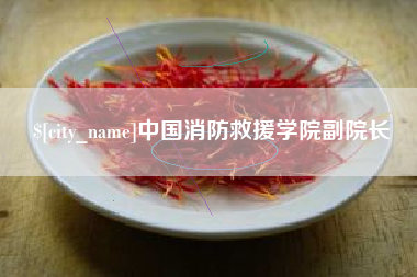 荣成中国消防救援学院副院长