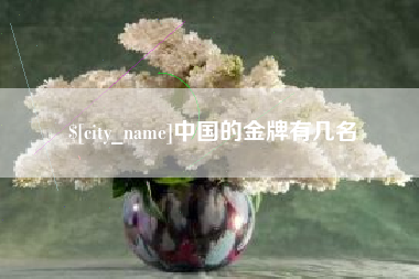 荣成中国的金牌有几名