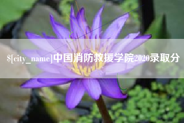 荣成中国消防救援学院2020录取分