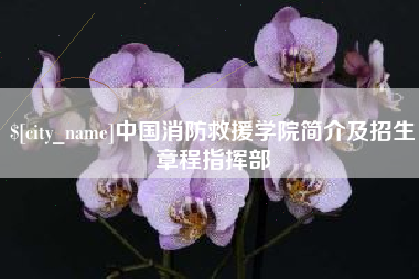 荣成中国消防救援学院简介及招生章程指挥部
