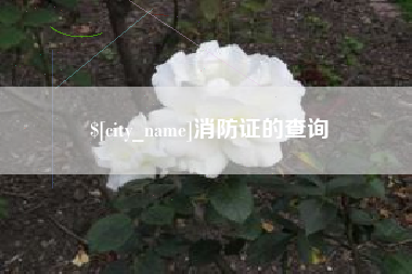 荣成消防证的查询