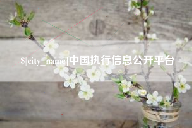 荣成中国执行信息公开平台