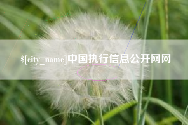 荣成中国执行信息公开网网