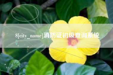 荣成消防证初级查询系统