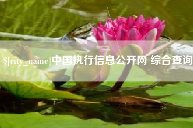 荣成中国执行信息公开网 综合查询