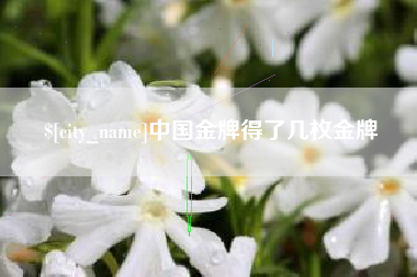 荣成中国金牌得了几枚金牌