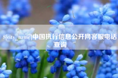 荣成中国执行信息公开网客服电话查询