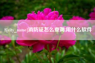 荣成消防证怎么查询,用什么软件