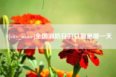 荣成全国消防日的日期是哪一天