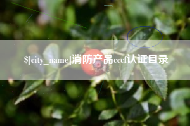 荣成消防产品cccf认证目录