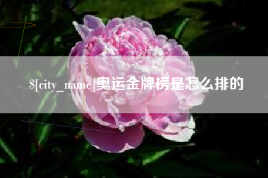 荣成奥运金牌榜是怎么排的