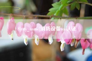 荣成消防设备ccc认证