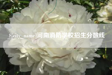 荣成河南消防学校招生分数线