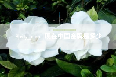 荣成现在中国金牌是多少