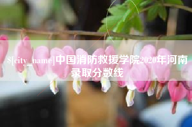 荣成中国消防救援学院2020年河南录取分数线