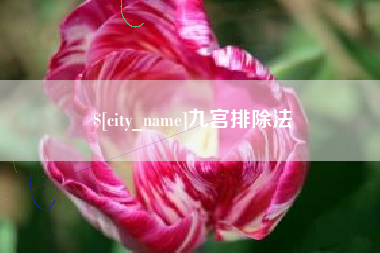 荣成九宫排除法