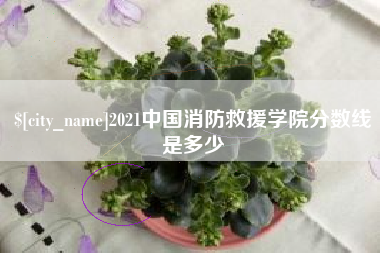 荣成2021中国消防救援学院分数线是多少