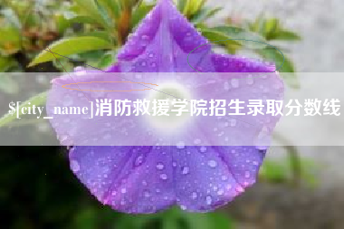 荣成消防救援学院招生录取分数线