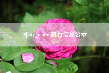 荣成执行信息公示