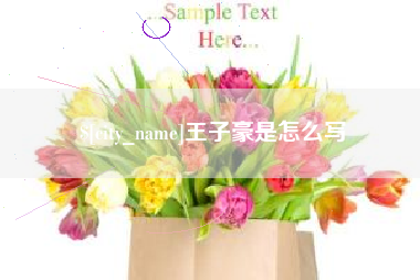荣成王子豪是怎么写