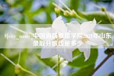 荣成中国消防救援学院2021年山东录取分数线是多少