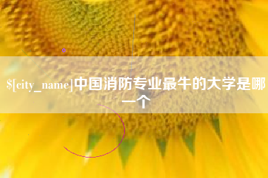 荣成中国消防专业最牛的大学是哪一个
