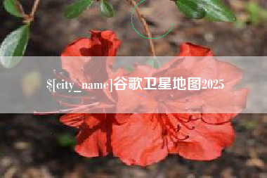荣成谷歌卫星地图2025