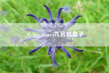 荣成九宫格盘子