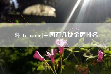 荣成中国有几块金牌排名