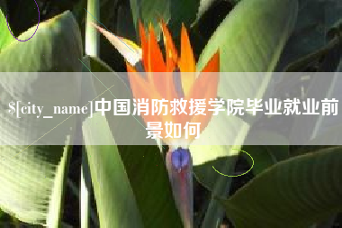 荣成中国消防救援学院毕业就业前景如何