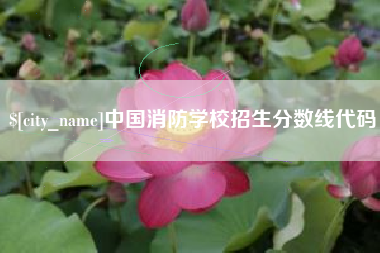 荣成中国消防学校招生分数线代码