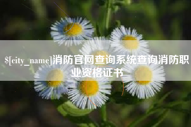 荣成消防官网查询系统查询消防职业资格证书