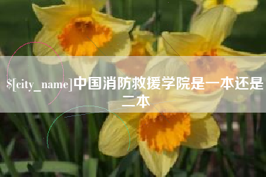 荣成中国消防救援学院是一本还是二本