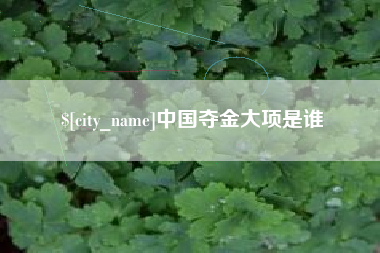 荣成中国夺金大项是谁