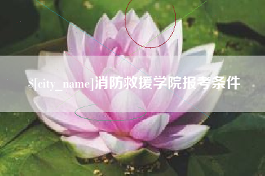 荣成消防救援学院报考条件