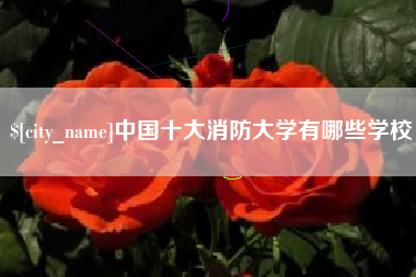 荣成中国十大消防大学有哪些学校