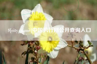 荣成中国执行网公开查询入口