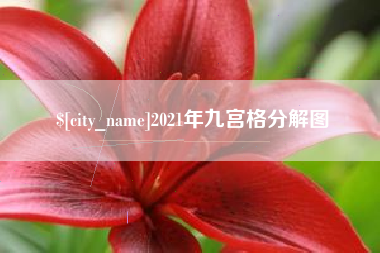 荣成2021年九宫格分解图
