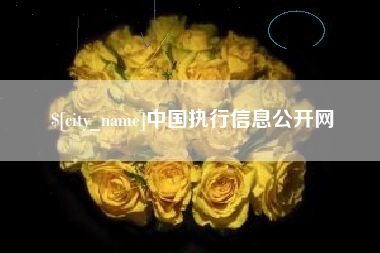 荣成中国执行信息公开网