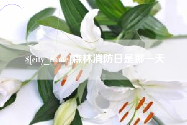 荣成森林消防日是哪一天