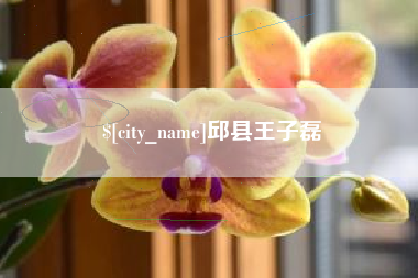 荣成邱县王子磊